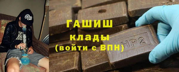 индика Богородицк
