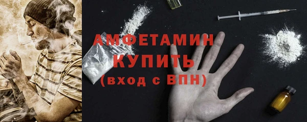 индика Богородицк