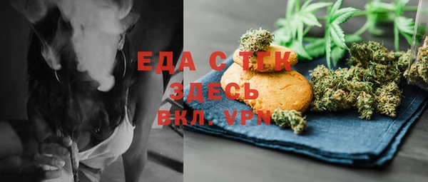 индика Богородицк