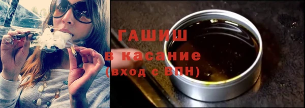 индика Богородицк