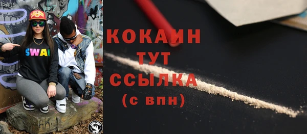 индика Богородицк