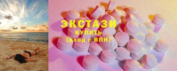 индика Богородицк