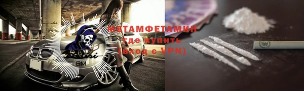индика Богородицк