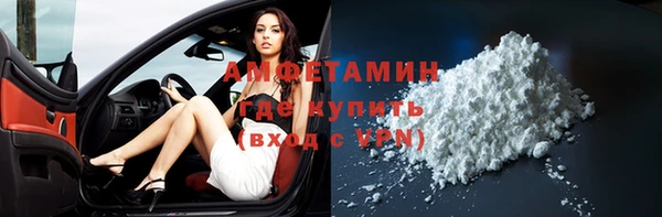 индика Богородицк