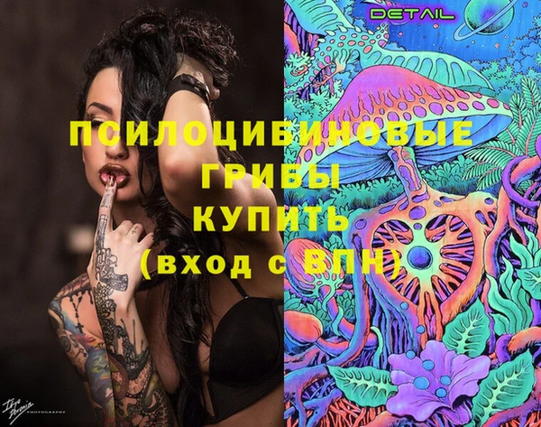 индика Богородицк