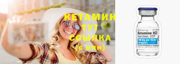 индика Богородицк