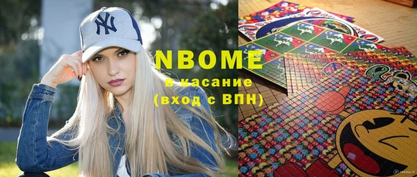индика Богородицк