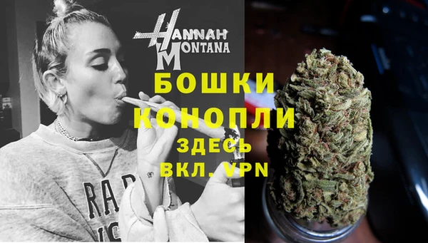 гидропоника Богданович