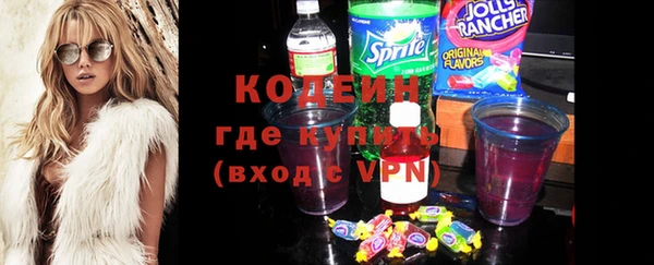 индика Богородицк