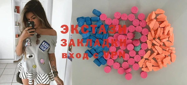 индика Богородицк