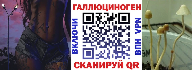 Галлюциногенные грибы Cubensis  Купить где  Пущино 